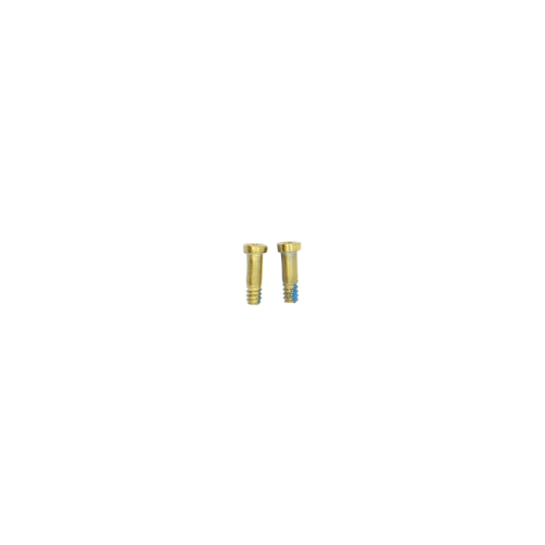 iPhone 12 and 6 Plus Bottom Pentalobe Screws - White/Gold