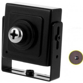 Screw Cam Surveillance Camera with 1/3 Inch SHARP CCD Sensor